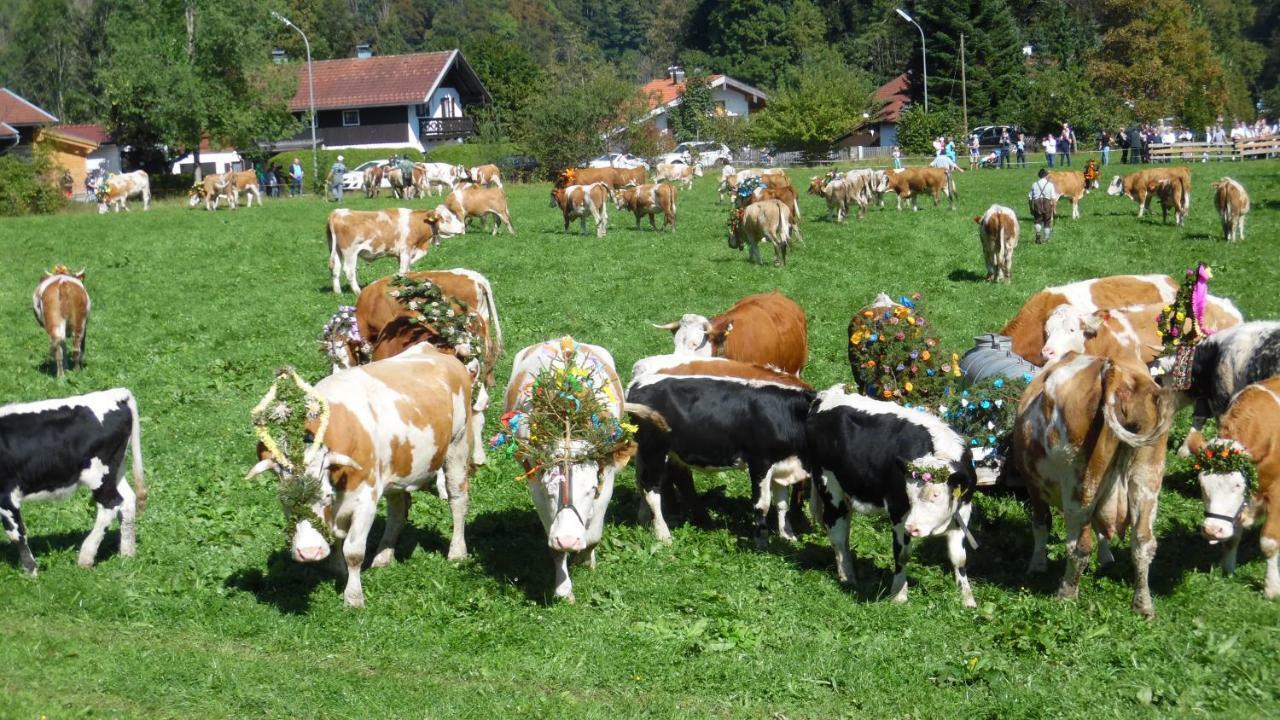 Ferienwohnung Fritzenwenger Übersee Eksteriør billede